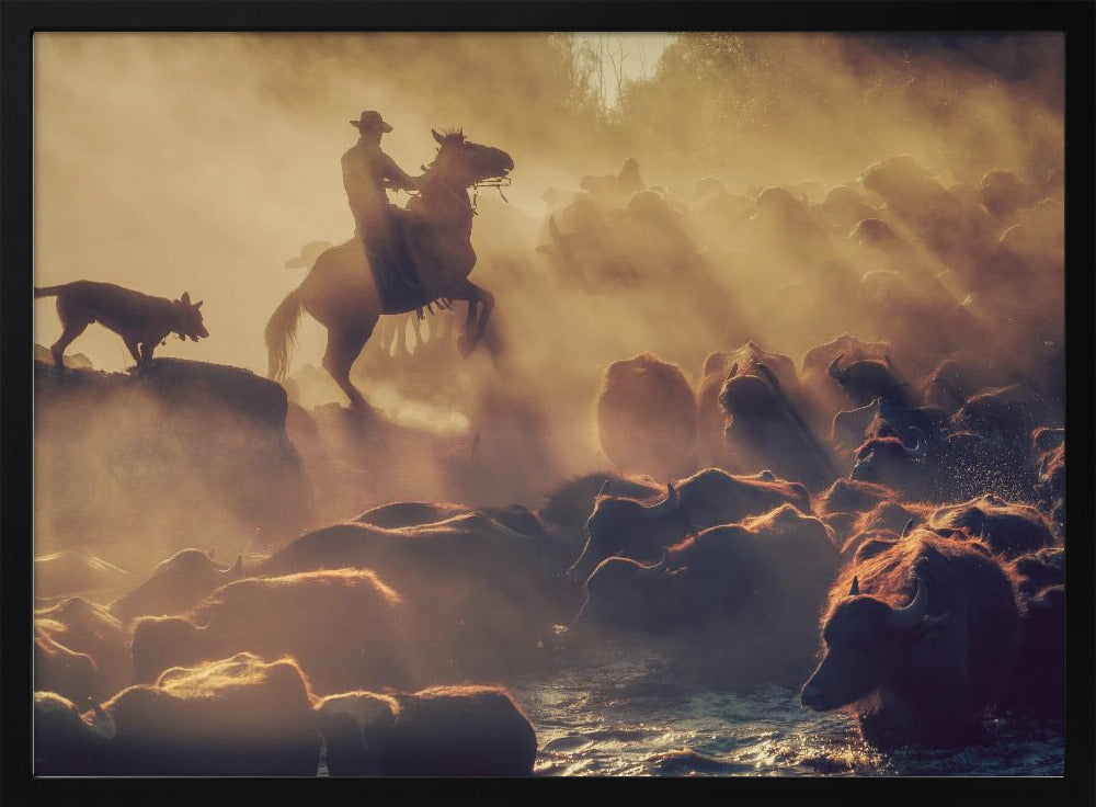 The buffalo shepherd | Poster