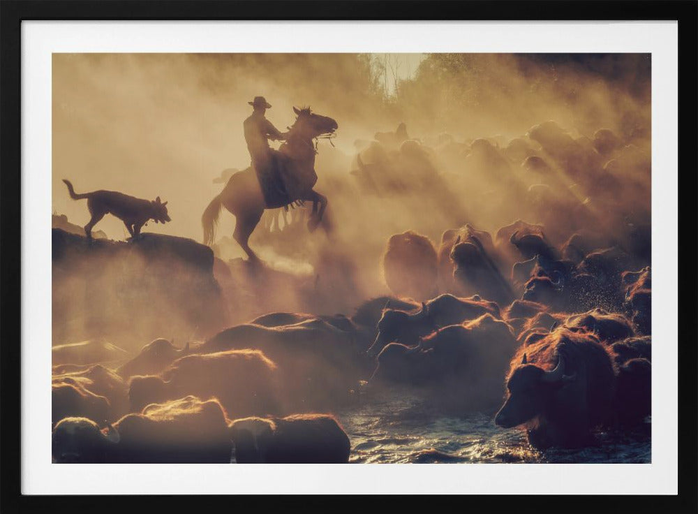 The buffalo shepherd | Poster