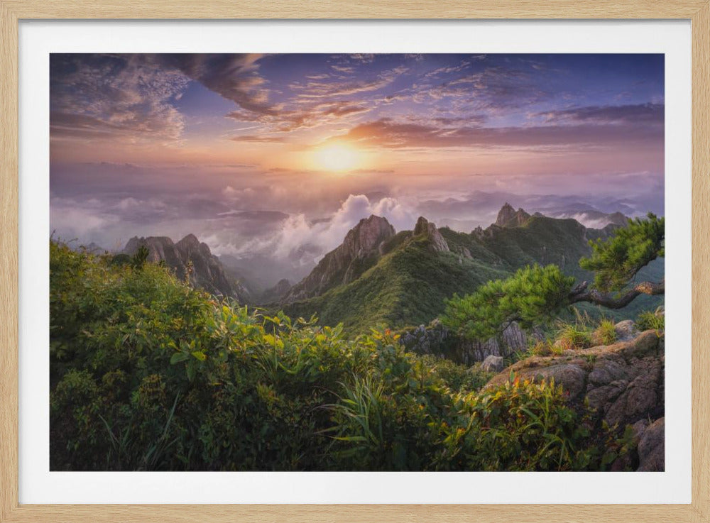 Pine tree on the rock | Poster