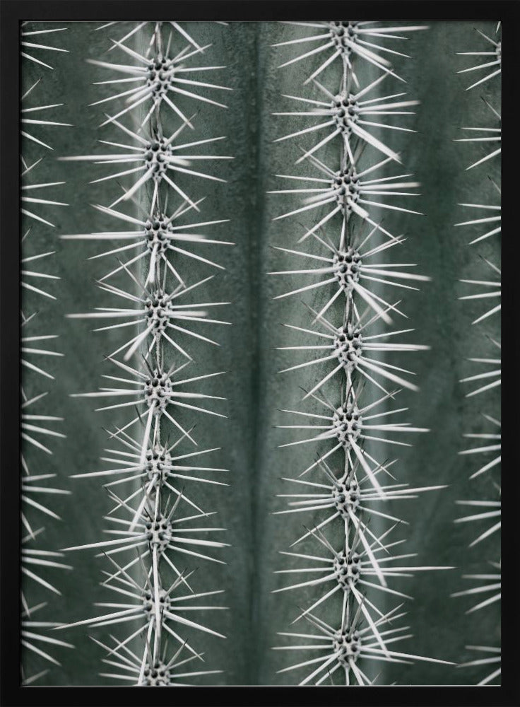 Cactus green | Poster