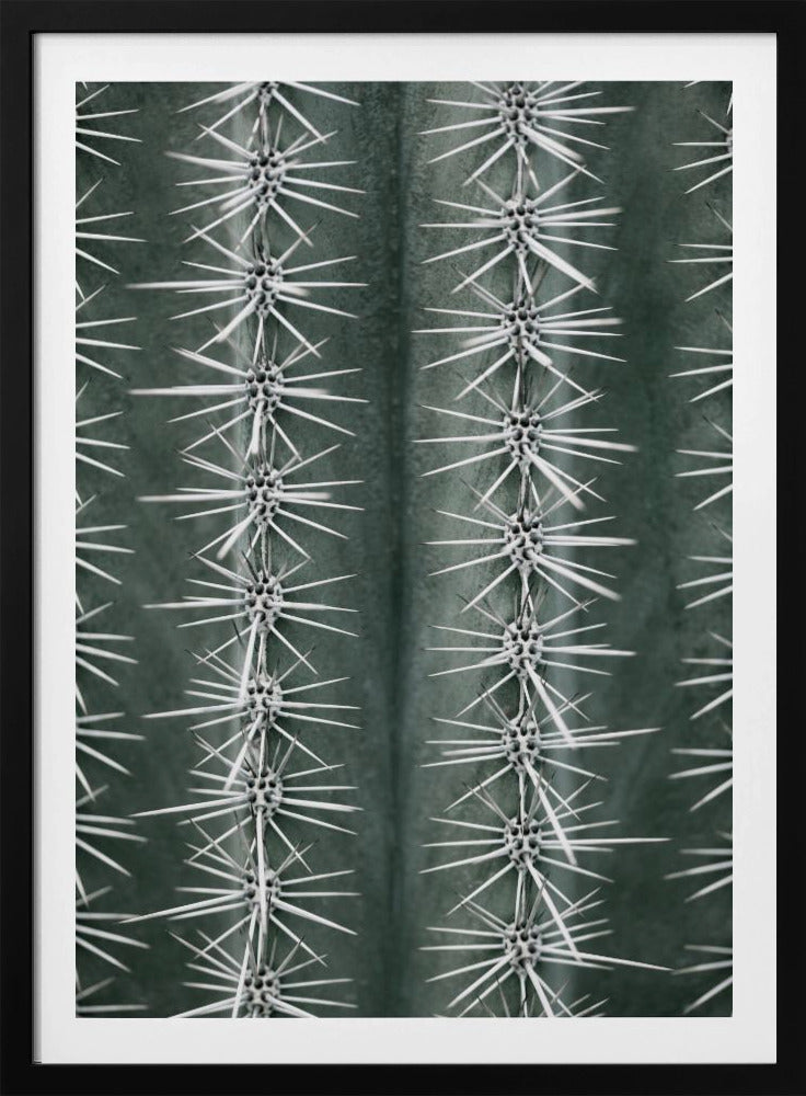 Cactus green | Poster