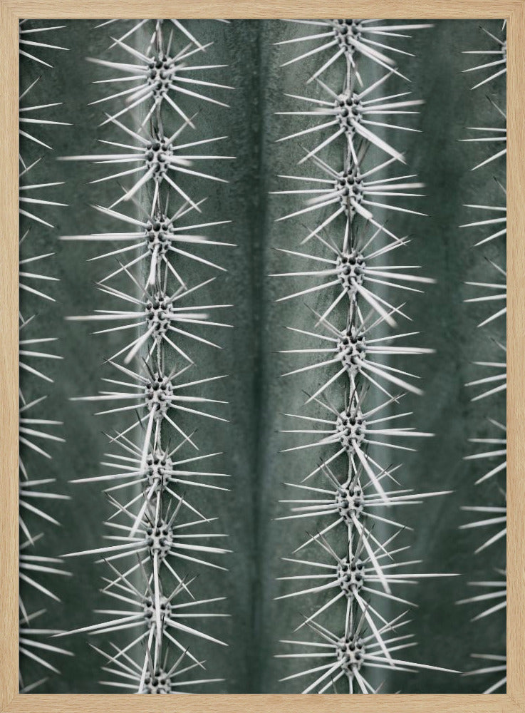 Cactus green | Poster