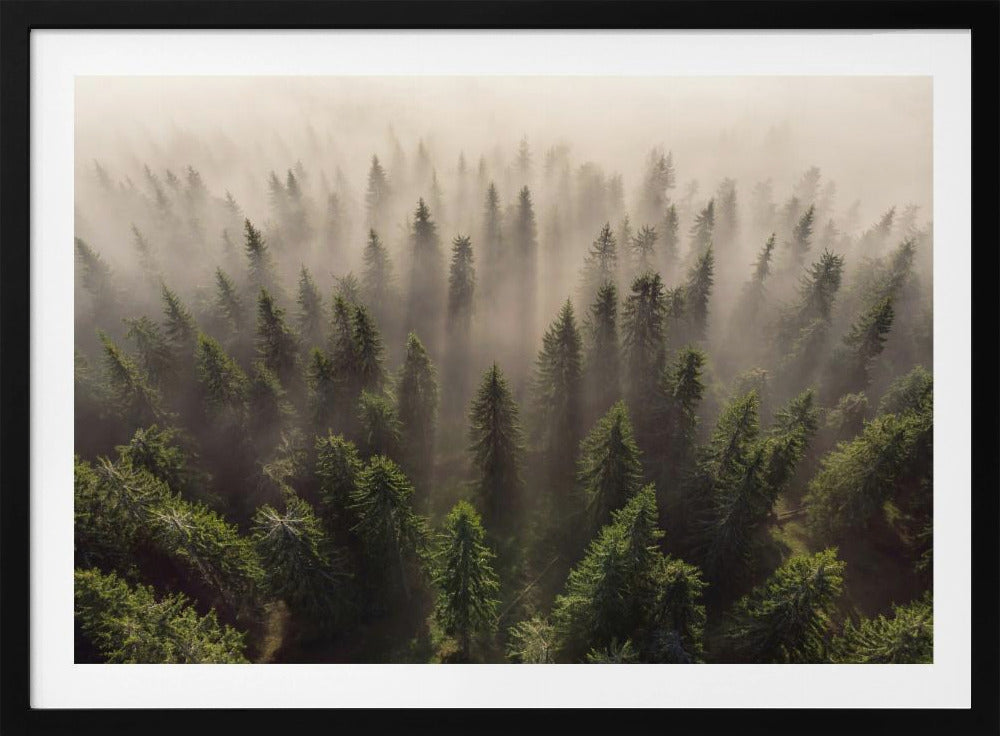 The Army of Firs | Poster