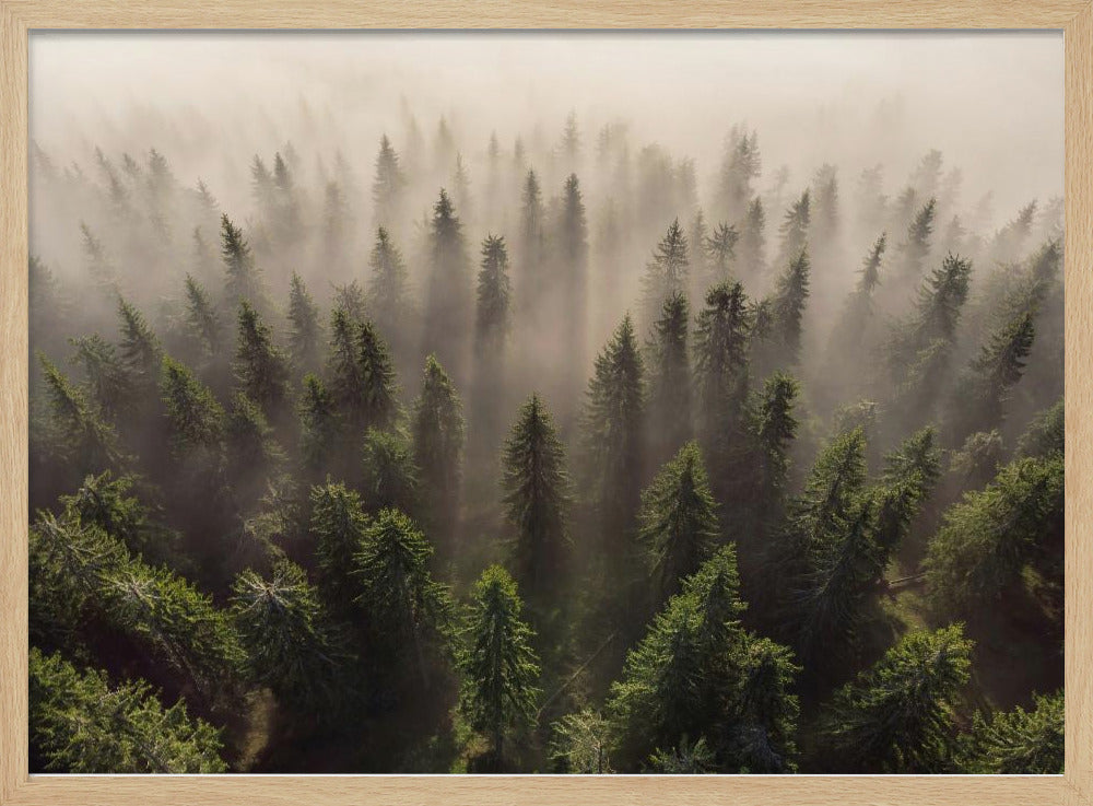 The Army of Firs | Poster