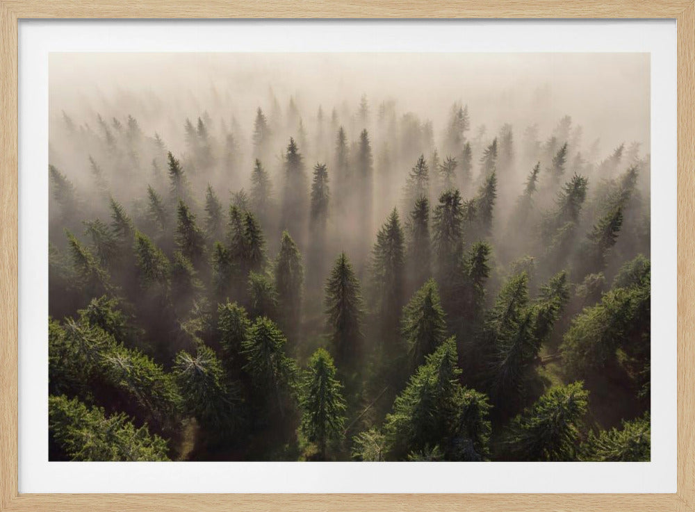 The Army of Firs | Poster