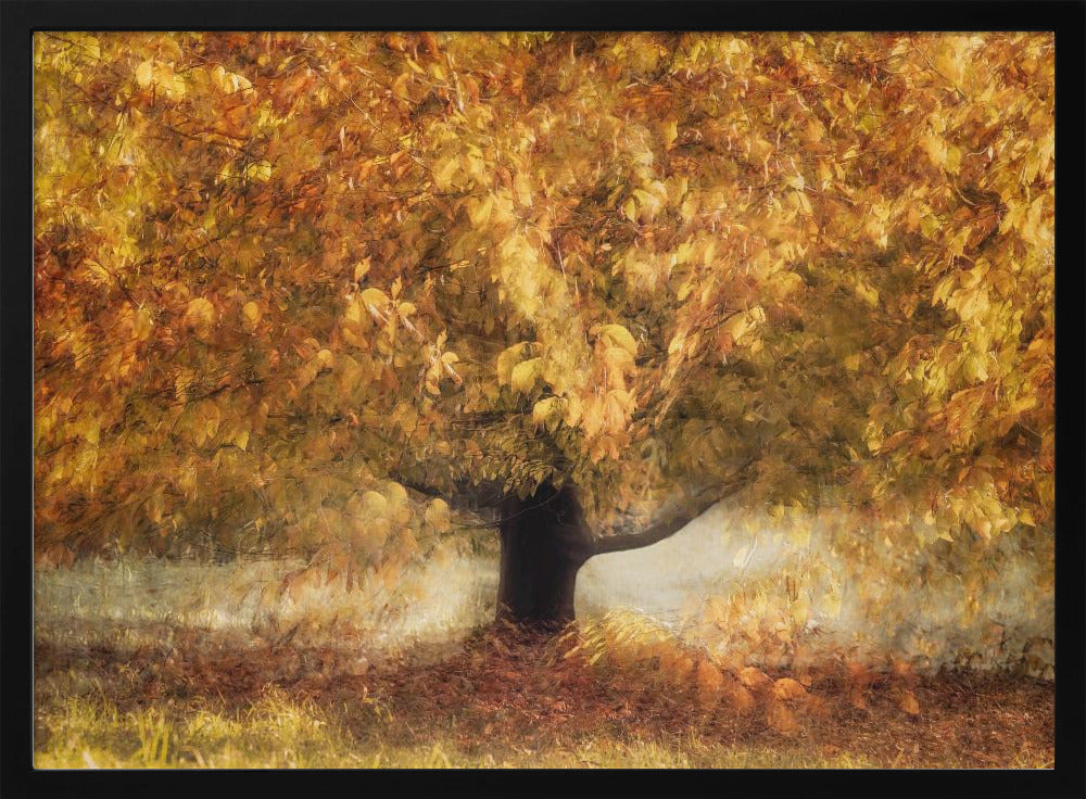 Gold colors | Poster