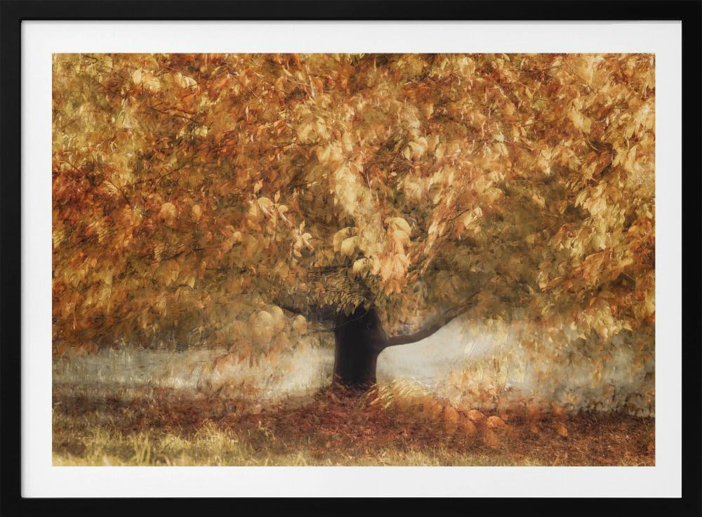 Gold colors | Poster