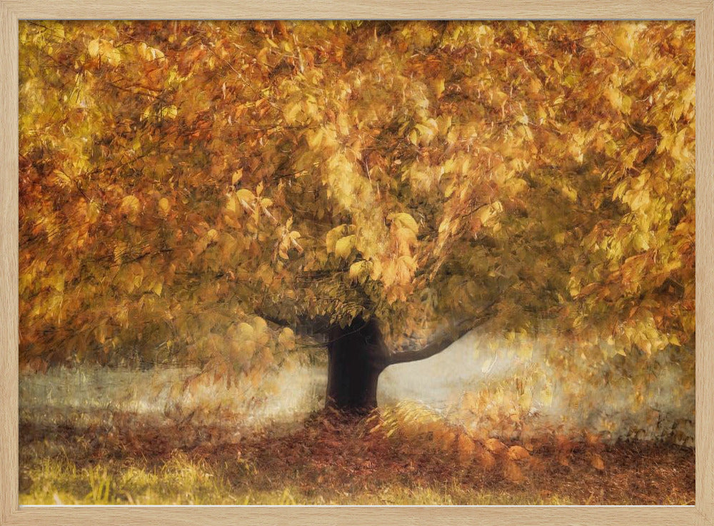 Gold colors | Poster