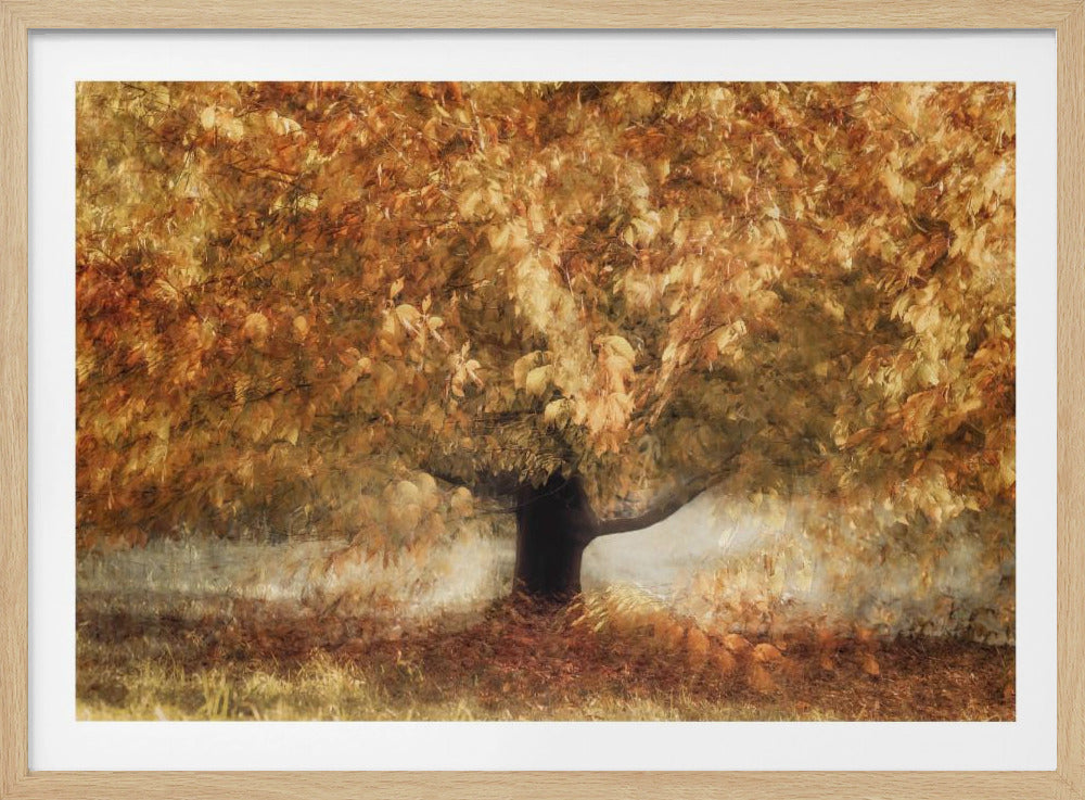 Gold colors | Poster