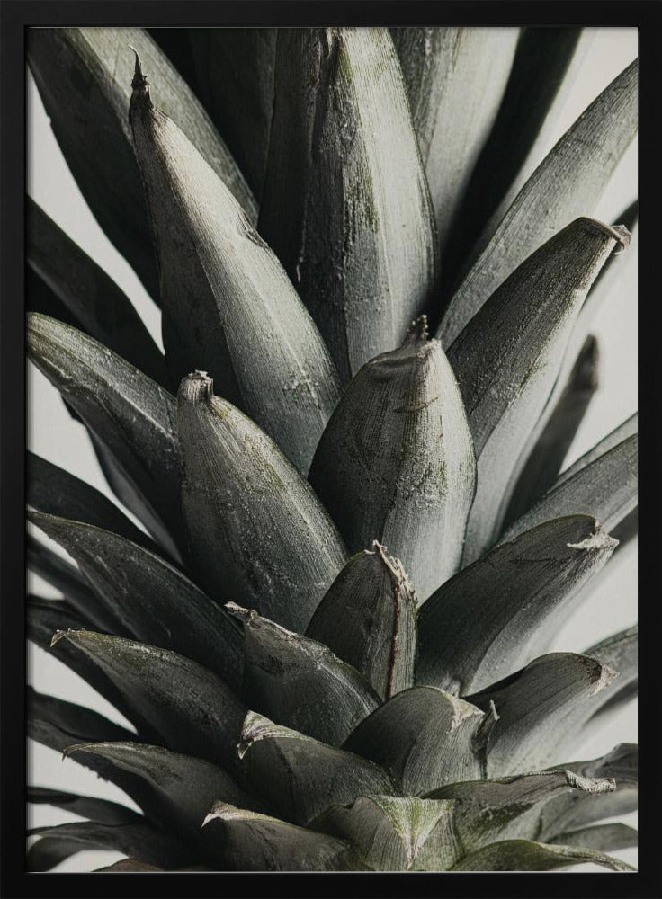 Pineapple close up | Poster