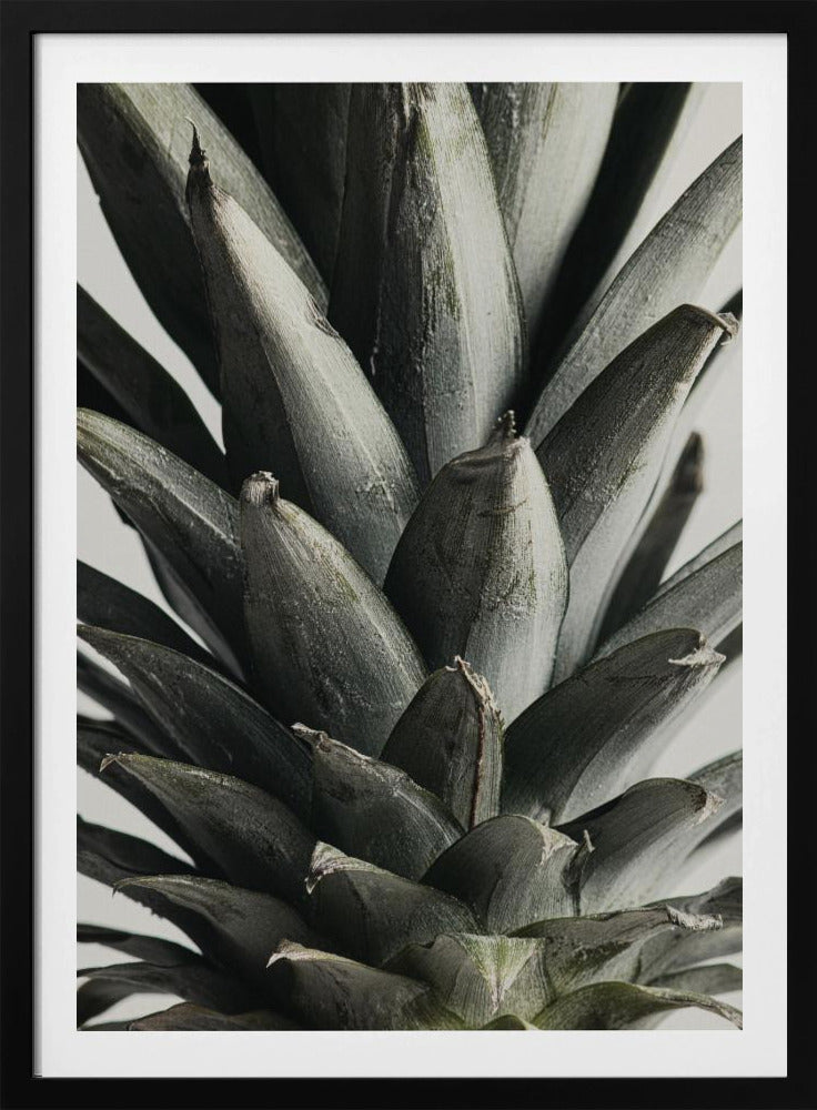 Pineapple close up | Poster