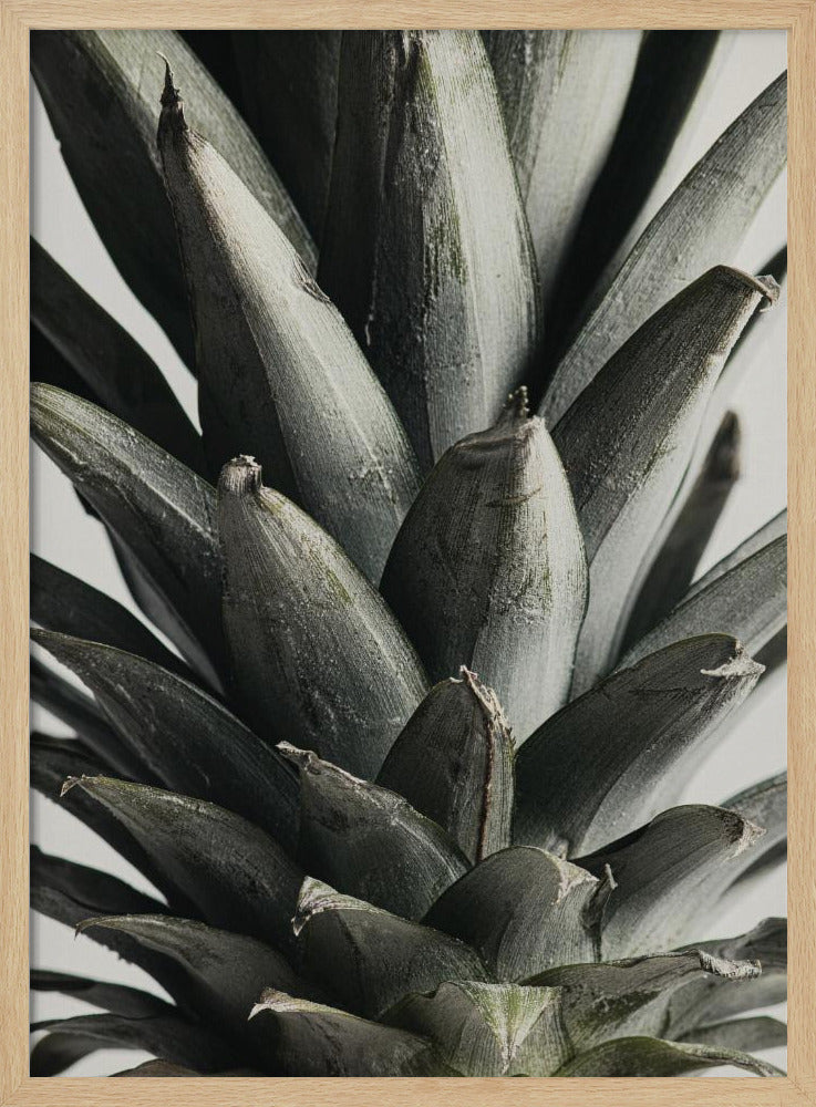 Pineapple close up | Poster
