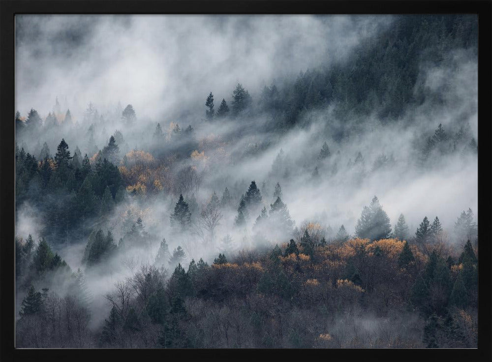 A path of the fog | Poster