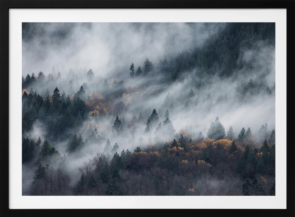 A path of the fog | Poster