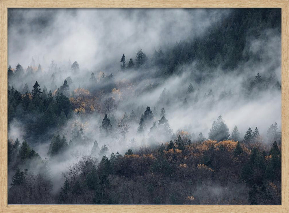 A path of the fog | Poster