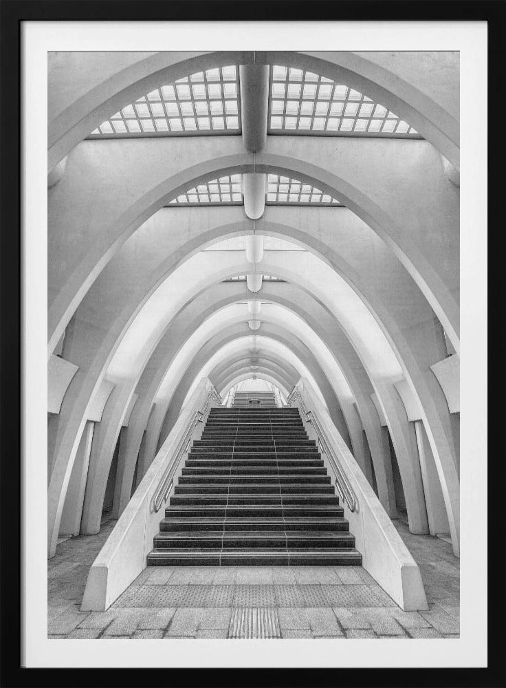 Calatrava lines | Poster