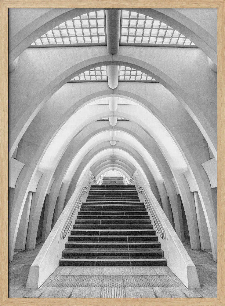 Calatrava lines | Poster