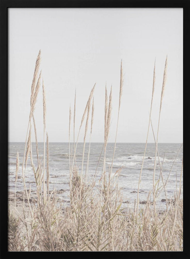 Beach_Vass_001 | Poster