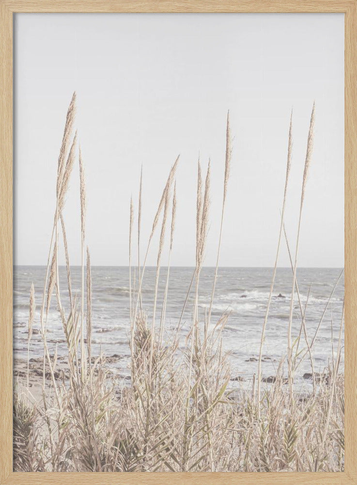 Beach_Vass_001 | Poster