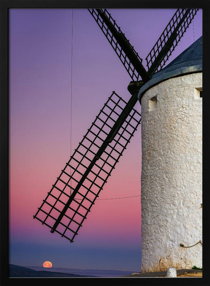 DON QUIXOTE'S DREAM | Poster