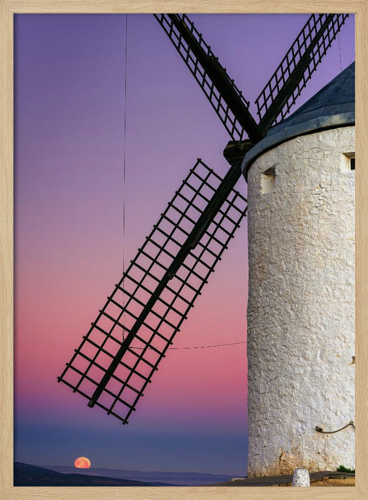 DON QUIXOTE'S DREAM | Poster