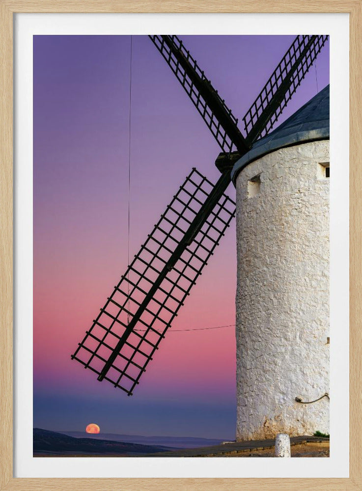 DON QUIXOTE'S DREAM | Poster