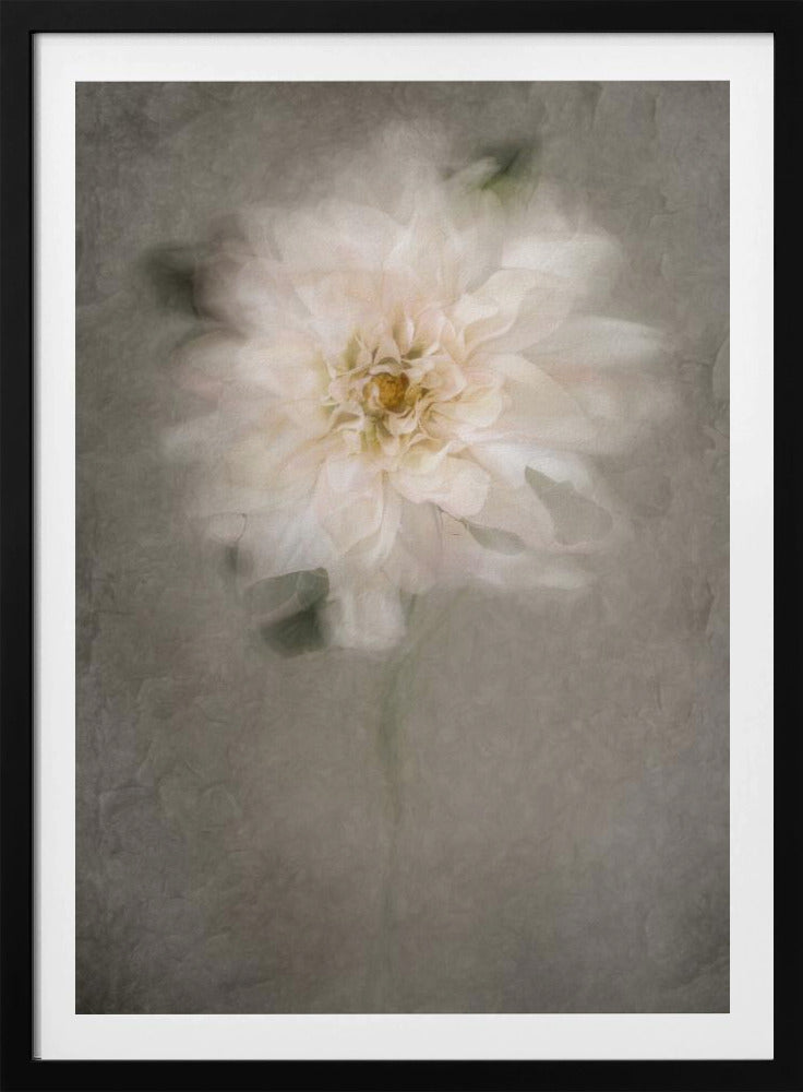 For the Bride | Poster