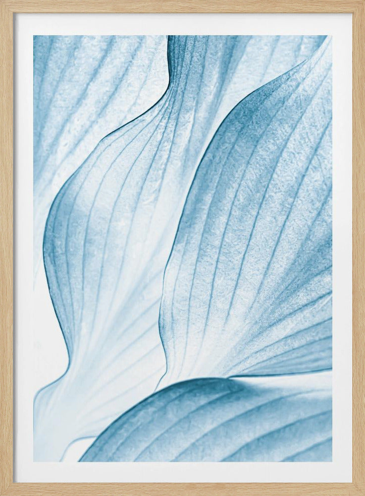 Icy Waves | Poster