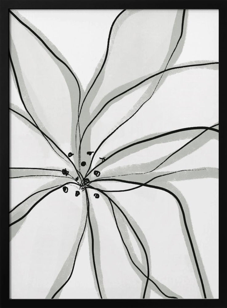 Delicate Flower Petals | Poster