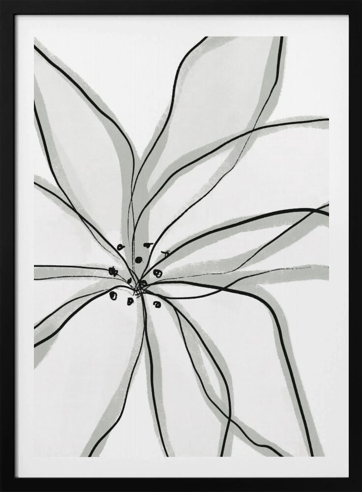 Delicate Flower Petals | Poster