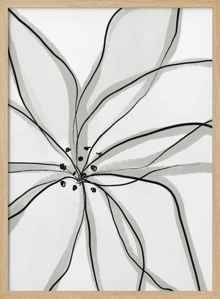 Delicate Flower Petals | Poster