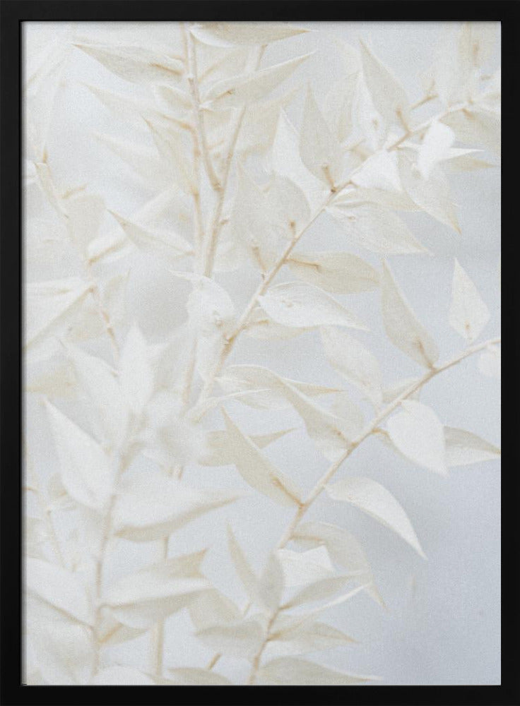 Ethereal Leaves | Poster
