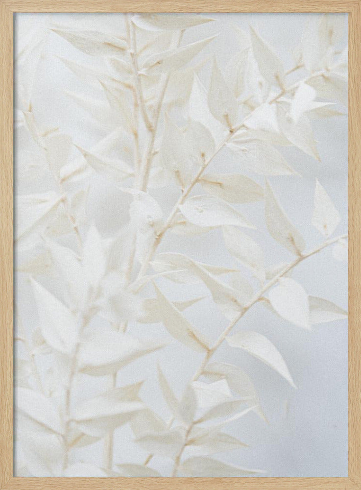 Ethereal Leaves | Poster