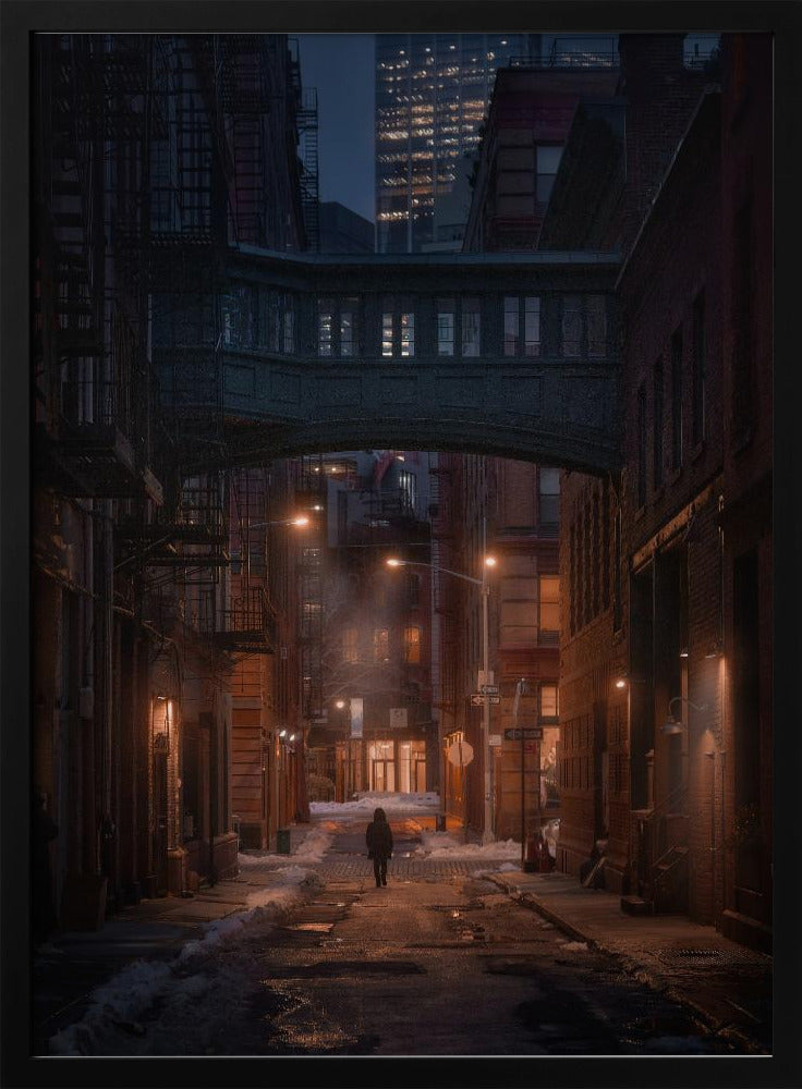 Under the Skybridge | Poster