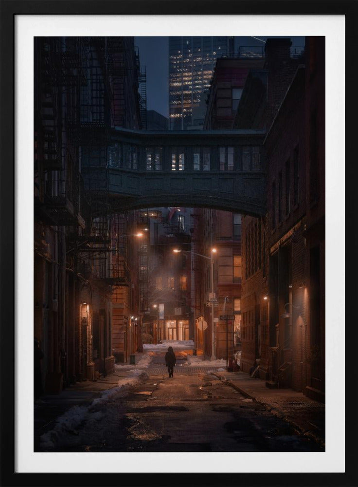 Under the Skybridge | Poster