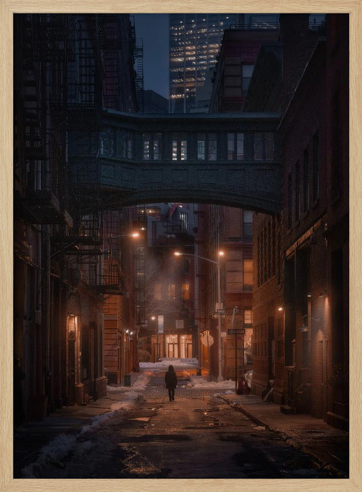 Under the Skybridge | Poster