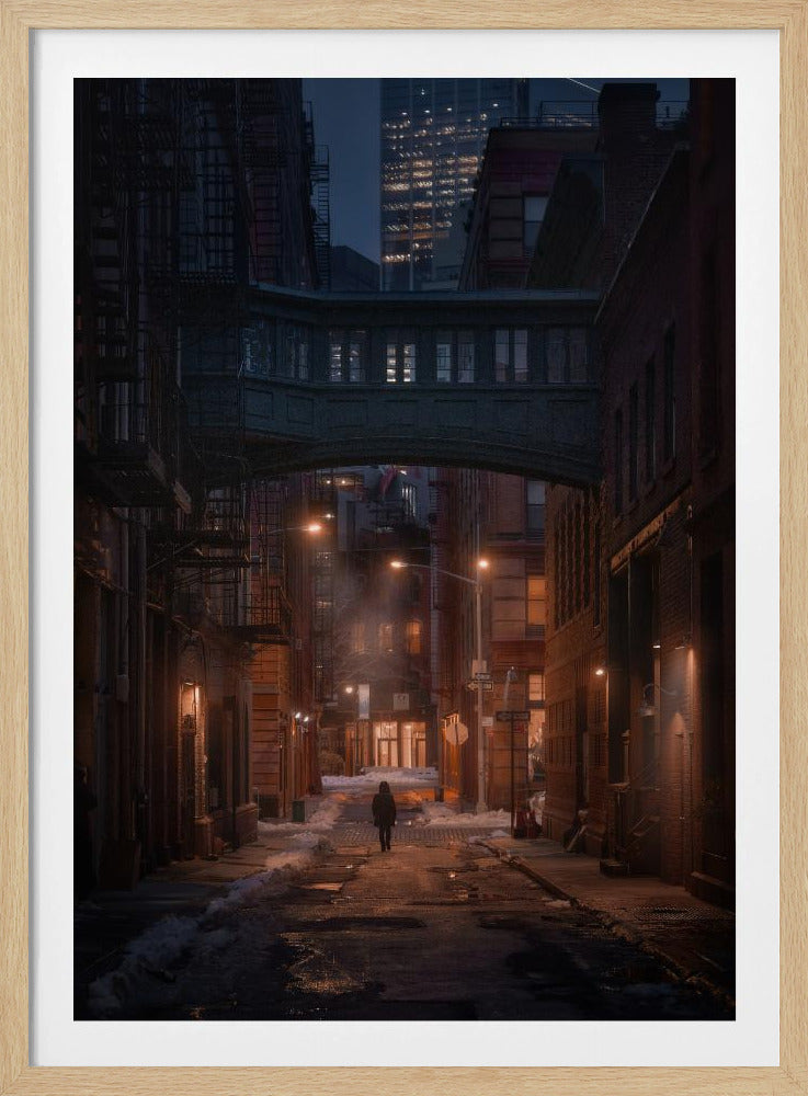 Under the Skybridge | Poster