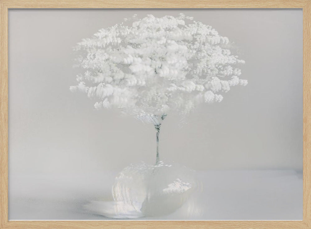 Innocent white | Poster