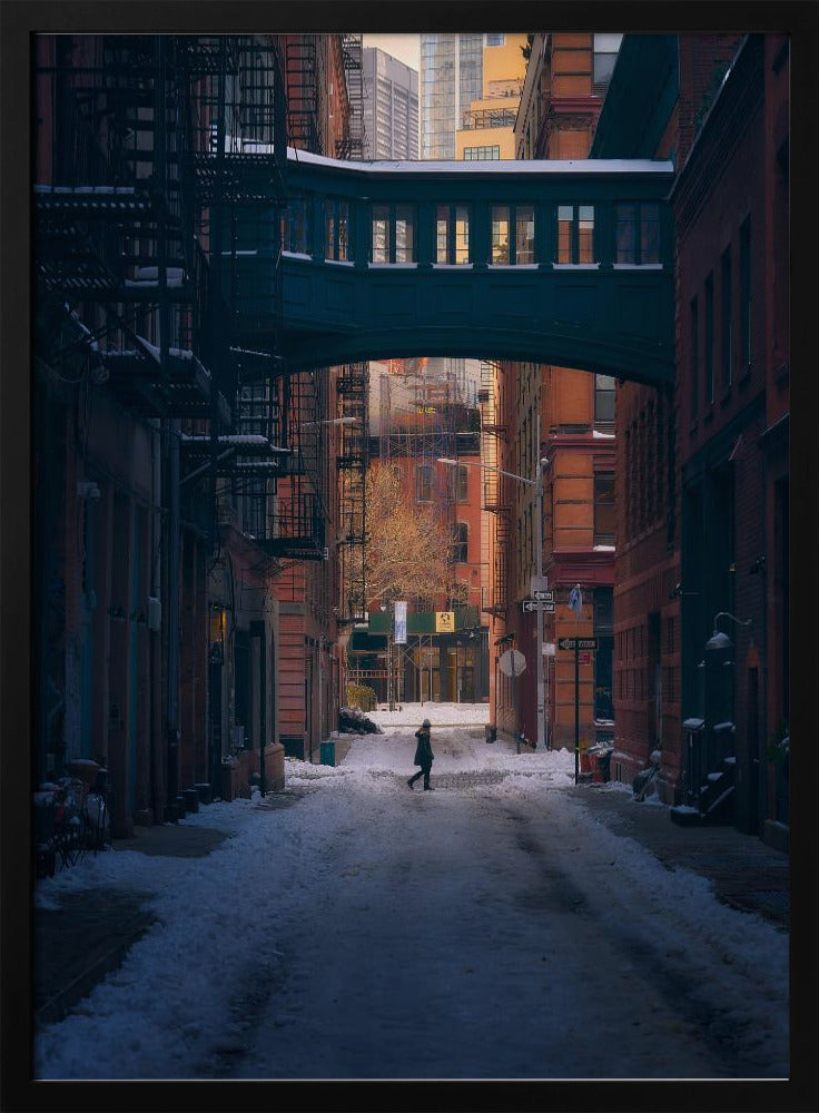 Under the Skybridge | Poster