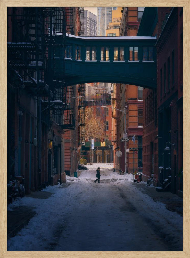 Under the Skybridge | Poster