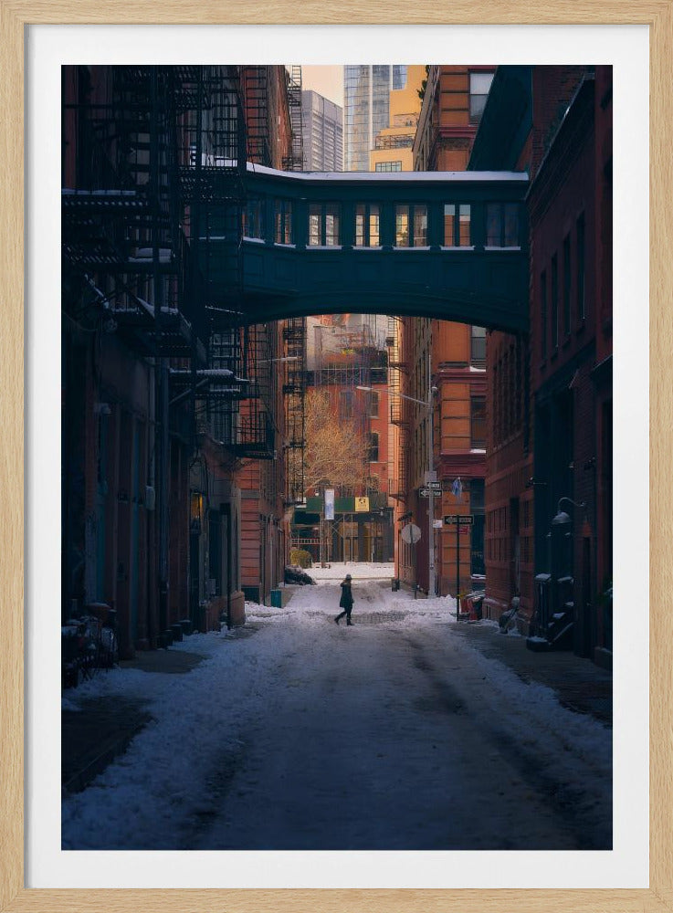 Under the Skybridge | Poster