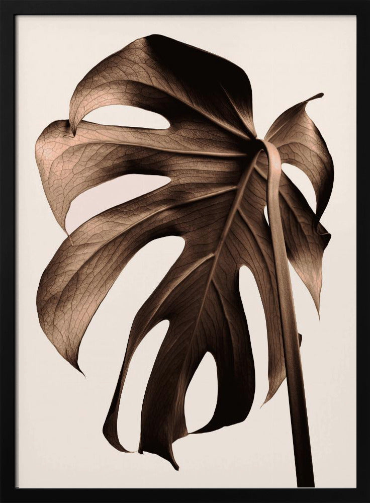 Monstera Gold | Poster