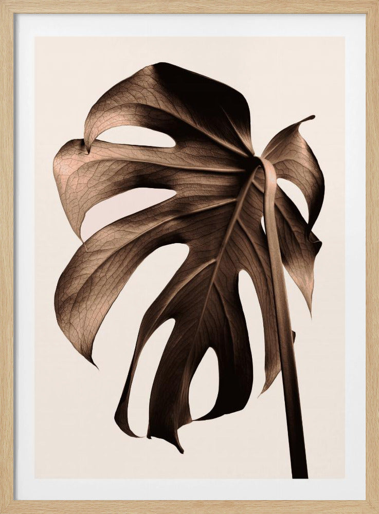 Monstera Gold | Poster