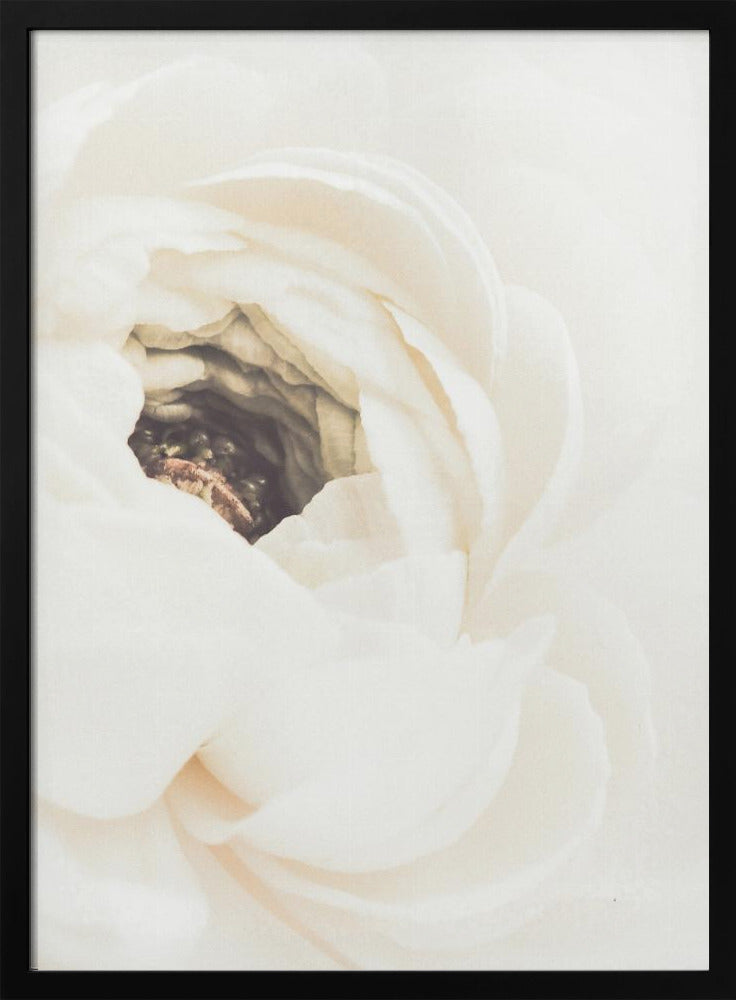 White Flower 01 | Poster