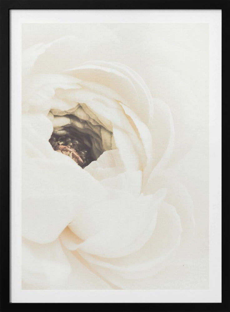 White Flower 01 | Poster