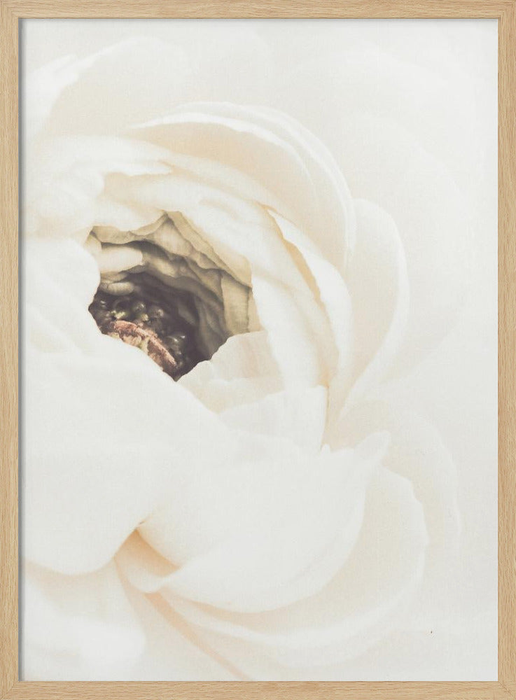 White Flower 01 | Poster