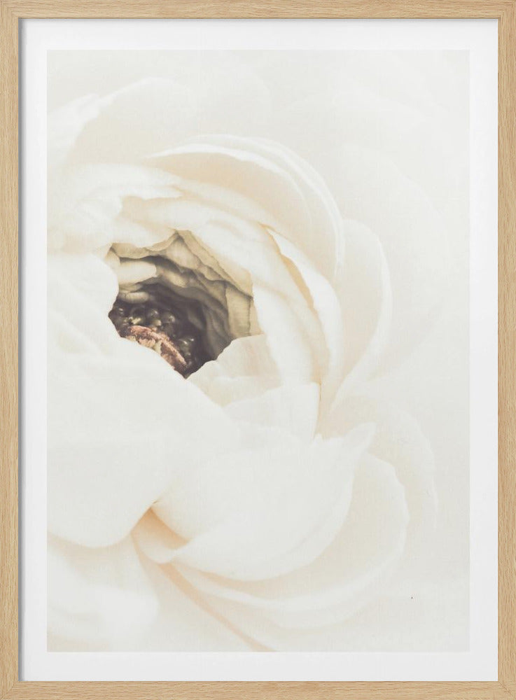 White Flower 01 | Poster