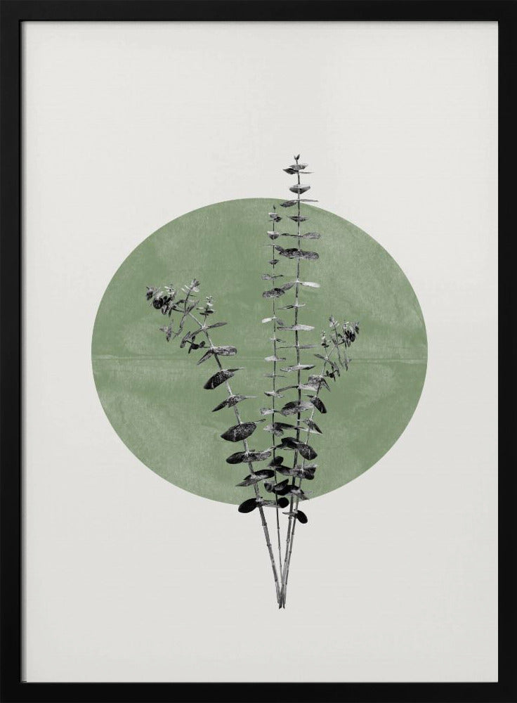 Nature&#039;s Echo | Poster