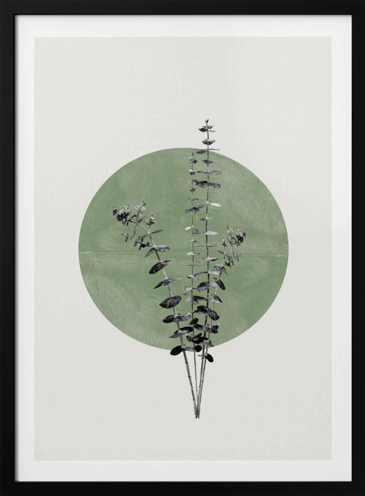 Nature&#039;s Echo | Poster