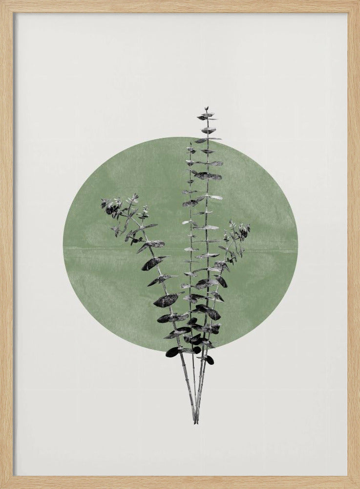 Nature&#039;s Echo | Poster